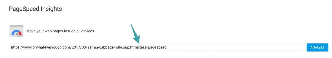 ?test=pagespeed
