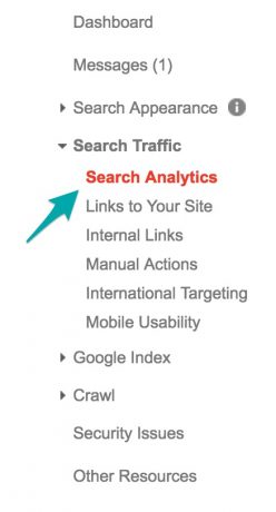 Click on Search Analytics under Search Traffic