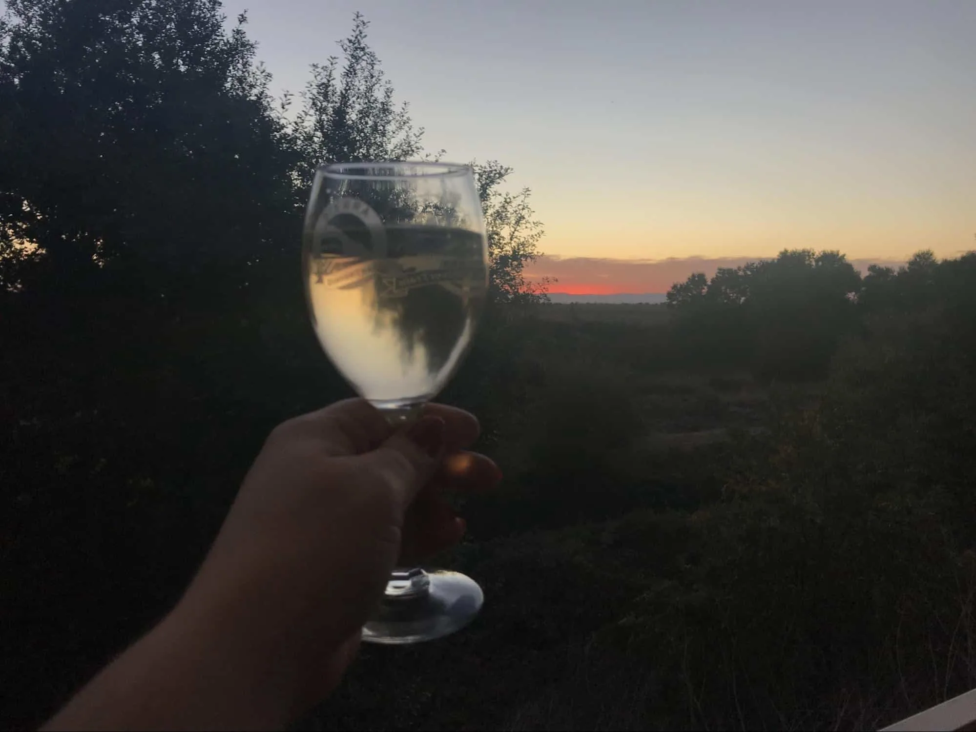 A glass of wine to toast a beautiful sunset.