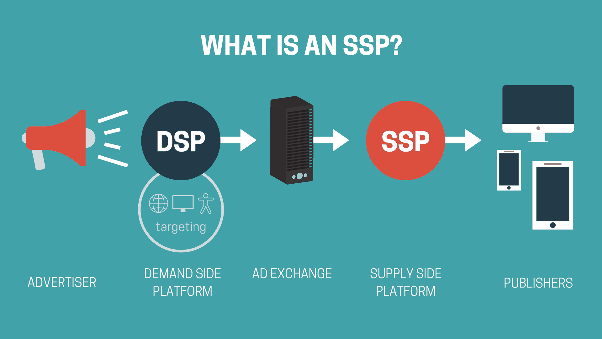 What is an SSP infographic