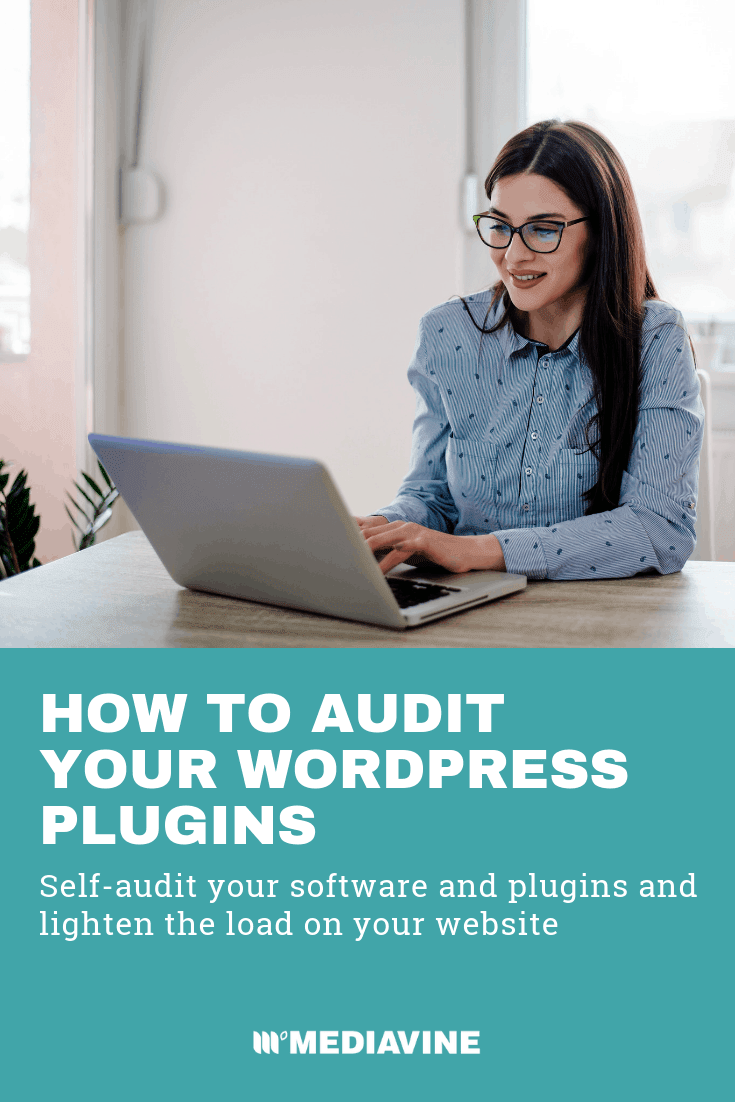 How To Do A Plugin Self Audit