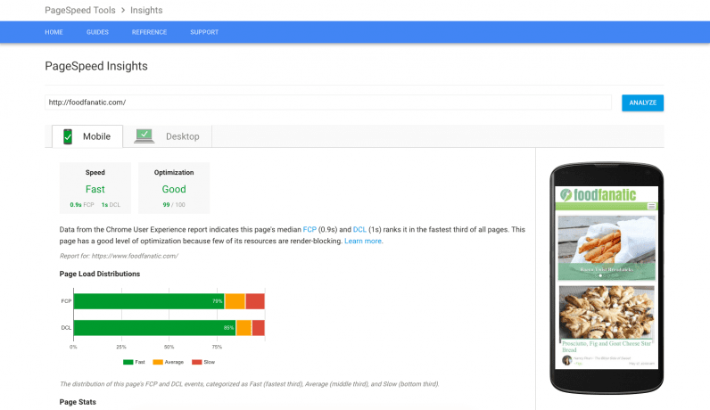 A screen capture of mobile PageSpeed Insights for Food Fanatic.