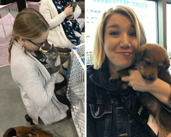 Mediavine Event Coordinator Megan Myers (left) meets with a kitten, while Director of Marketing Jenny Guy (right) holds a puppy.