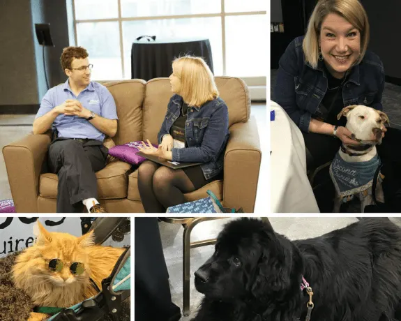 A collage of Jenny Guy meeting with various BlogPaws attendees, both human and of the furry friend variety.