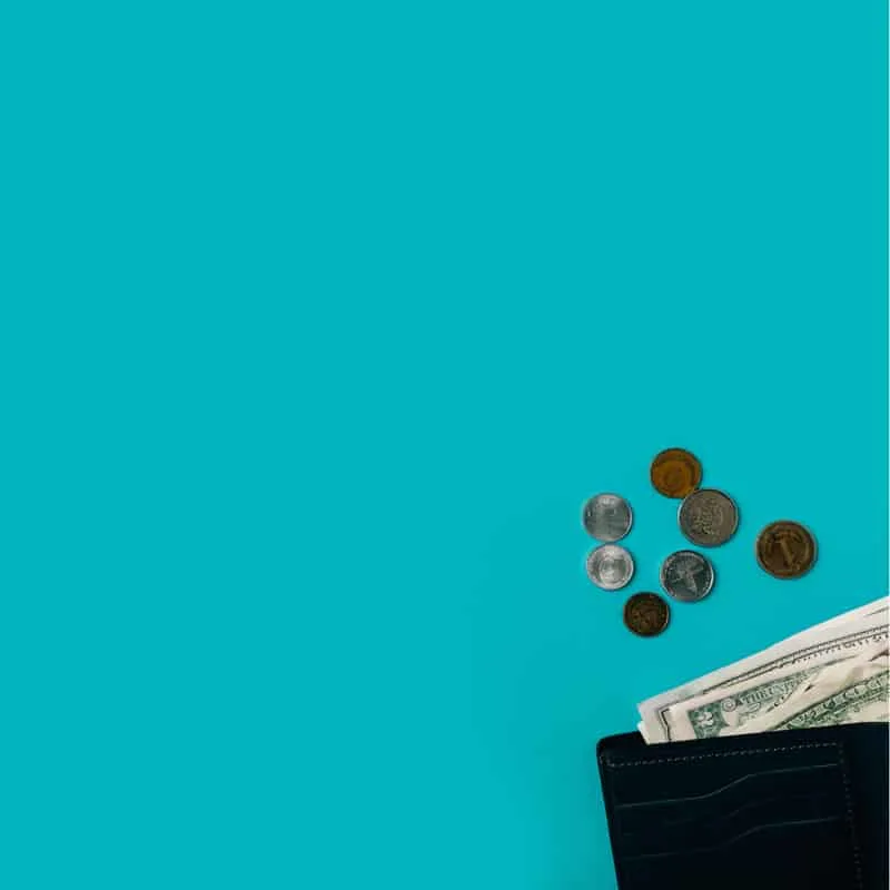 An open wallet spilling onto a teal background.