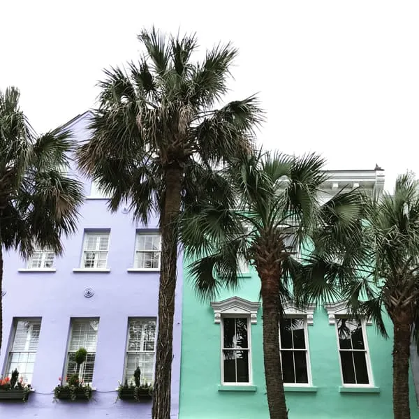 Pastel painted houses in lavendar and mint green, located in Charleston, South Carolina, with palm trees out front.