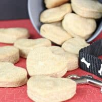Easy Homemade Dog Treats with Peanut Butter and Applesauce