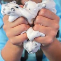 DIY 101 Dalmatian Slime Tutorial