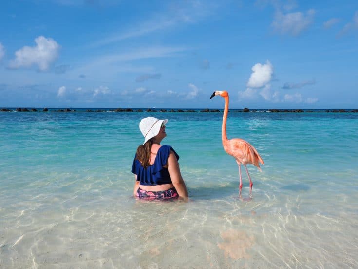Amanda Williams sits in the shallows at the beach, visited by a friendly flamingo.