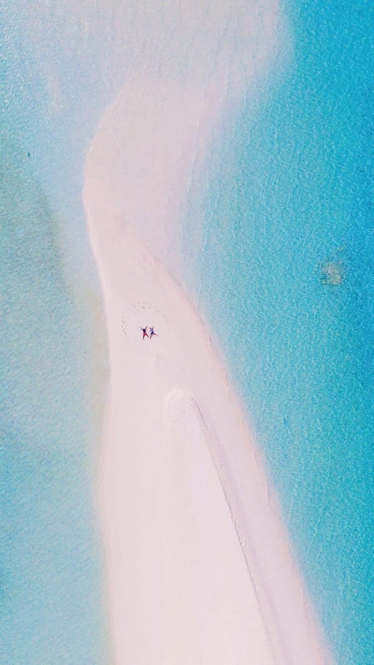 A top down view of Yaya and Lloyd enjoying a sunny day on a sand bar.