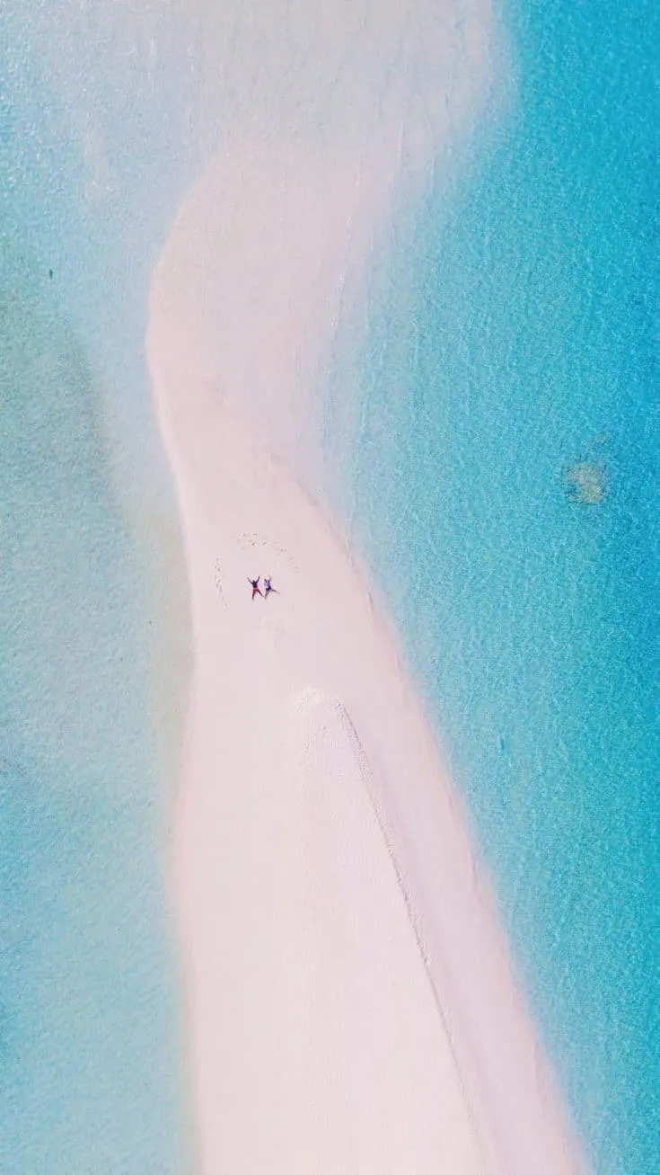 A top down view of Yaya and Lloyd enjoying a sunny day on a sand bar.