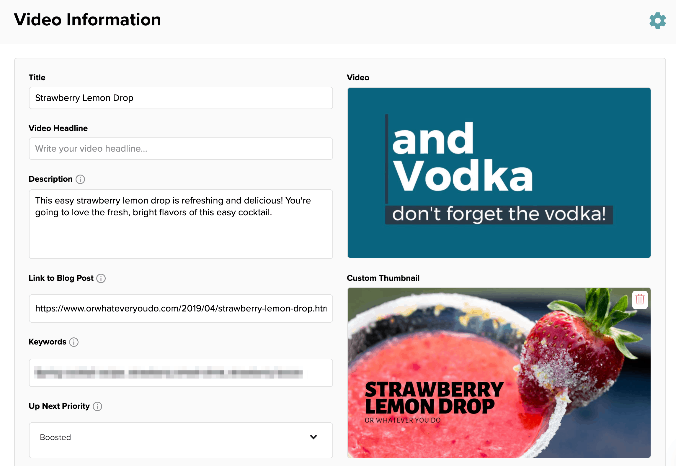 Screenshot of Strawberry Lemon Drop video edit screen in the Mediavine Dashboard