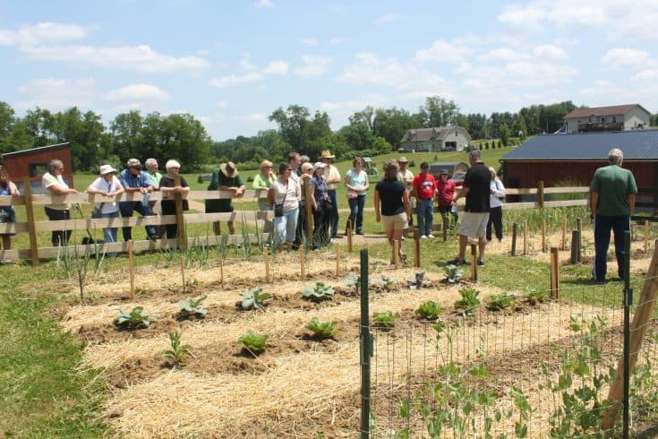 A group of people visiting a farming gardening plot.