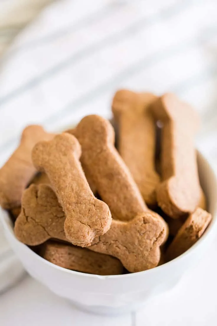 Homemade dog treats from Spaceships and Laserbeams
