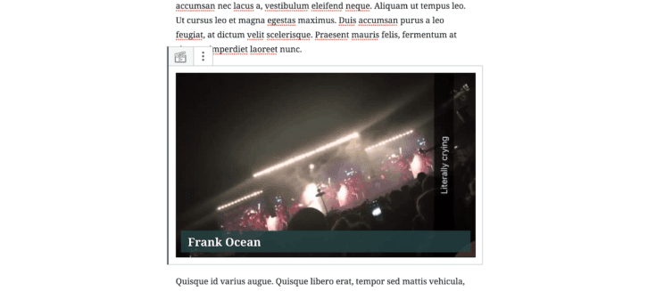 Screen capture displaying a video adhesion between two paragraphs.