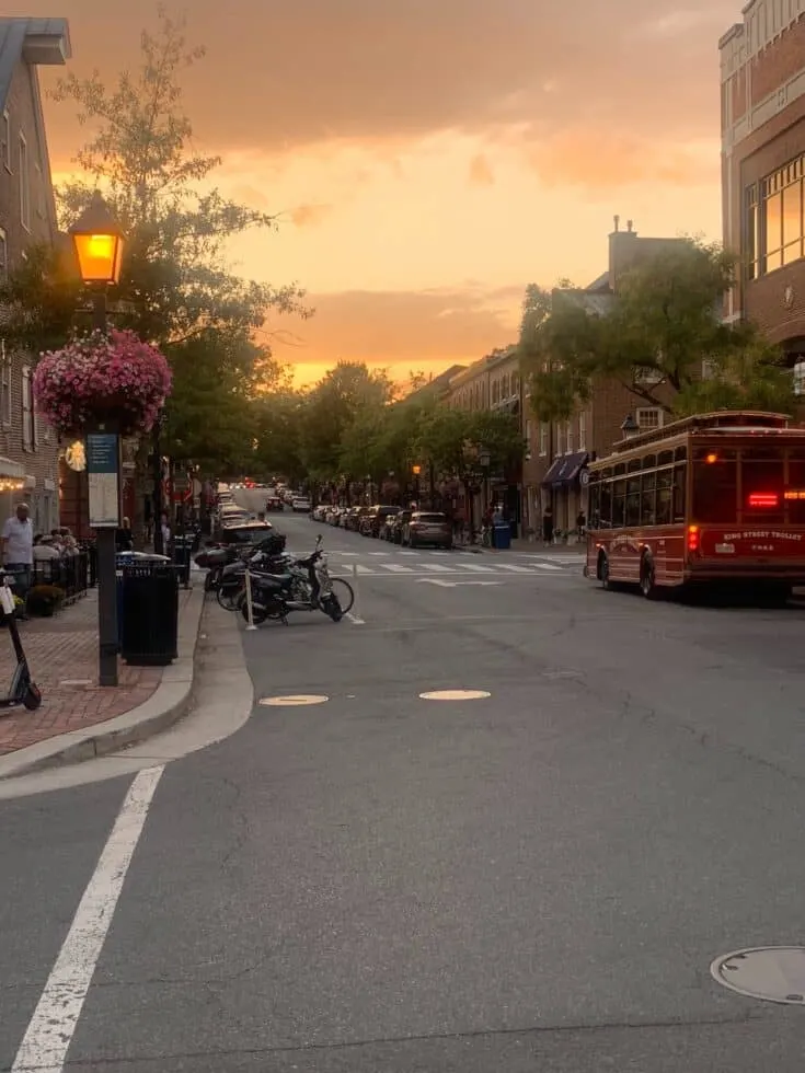 A streetview photograph at sunset, featuring hanging baskets of flowers, newly-lit streetlamps, and a red bus.
