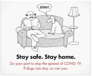 stay safe, stay home house ad