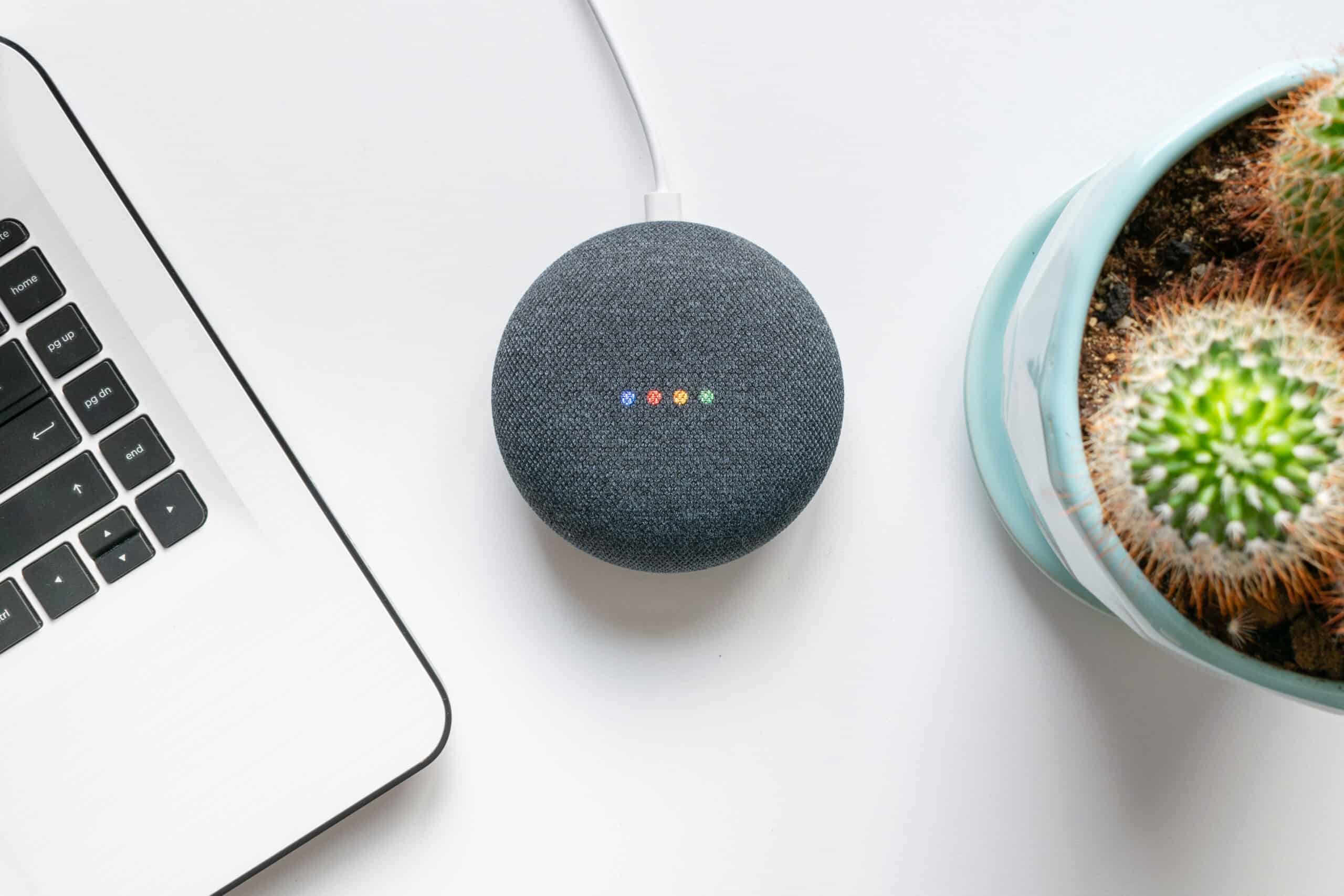 Google Home mini smart speaker on a table with a laptop and cactus