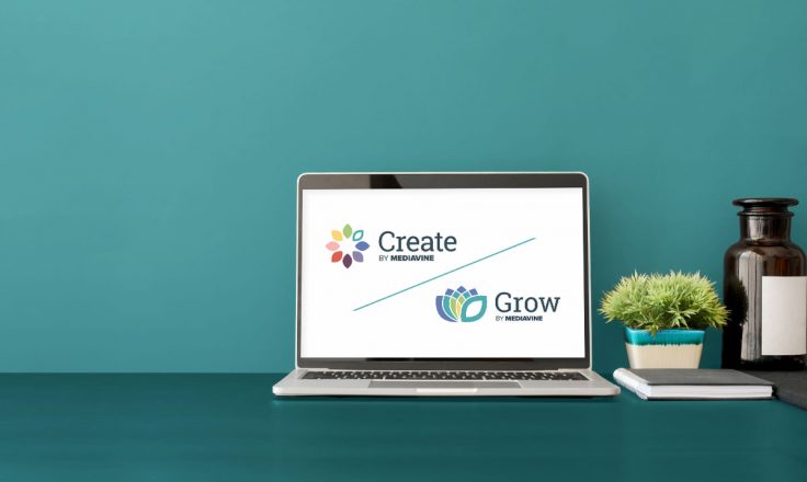 Create and Grow logos shown on a laptop on a teal wall and desk