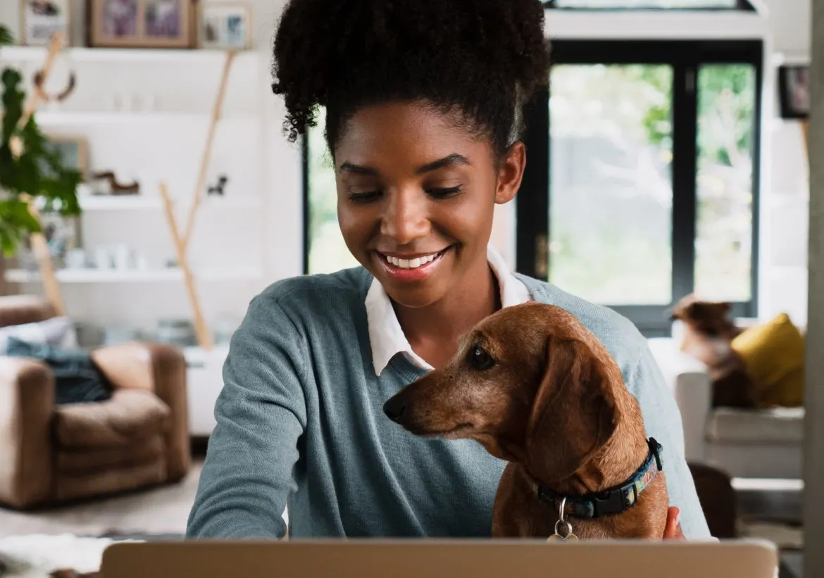 woman blogging at a laptop with her dachshund in her lap