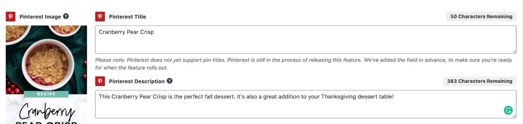 screenshot of description section on pinterest