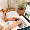 person using computer next to dog