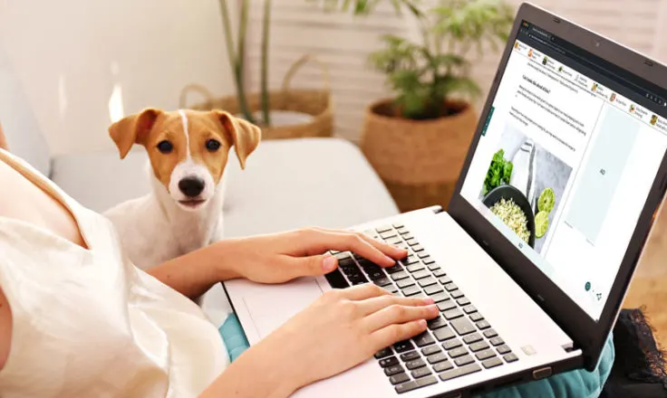 person using computer next to dog