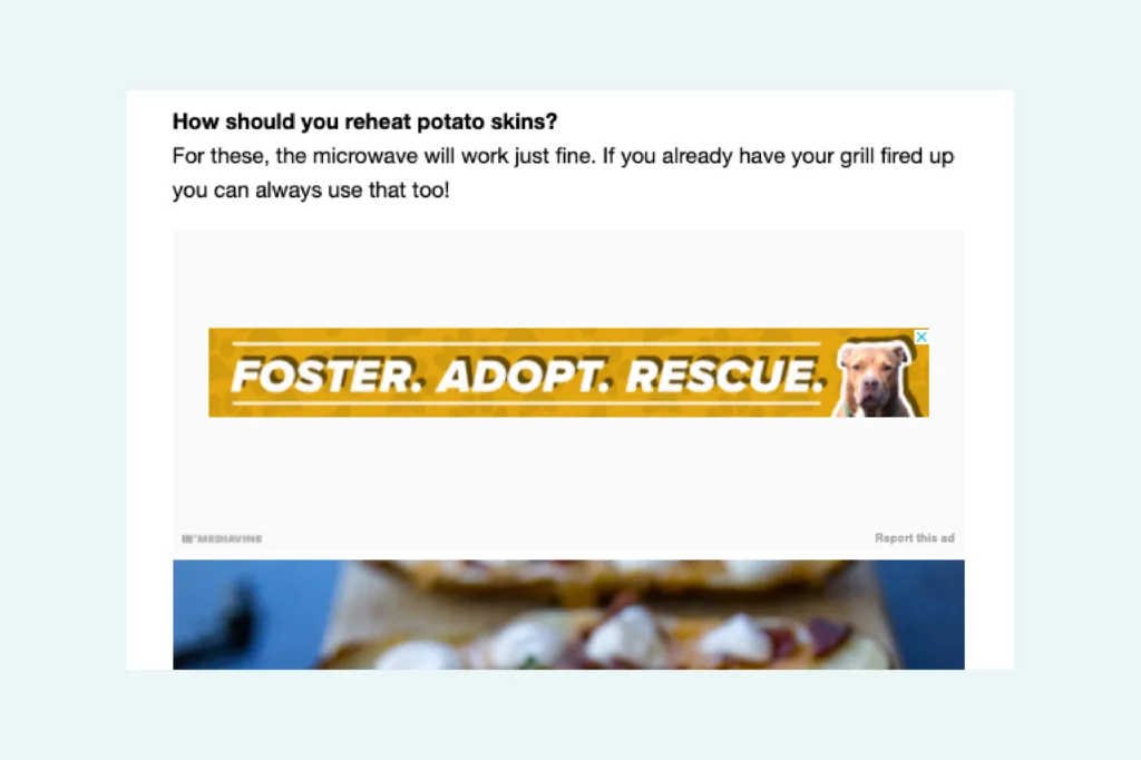 screenshot of adopt don't shop psa within the ad box