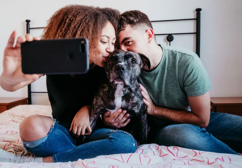 two people taking a selfie with a pit bull on a bed